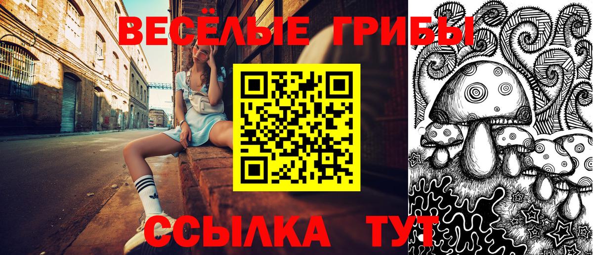 Дивногорск  Псилоцибиновые грибы GOLDEN TEACHER  Вход с VPN 