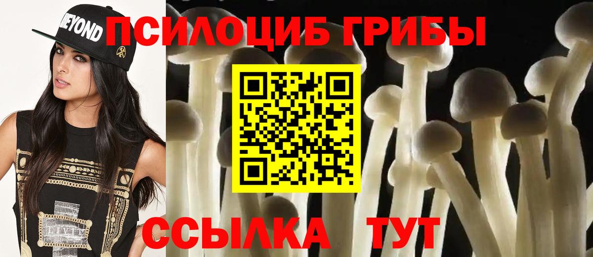 Псилоцибиновые грибы прущие грибы  Дивногорск  Галлюциногенные грибы прущие грибы 