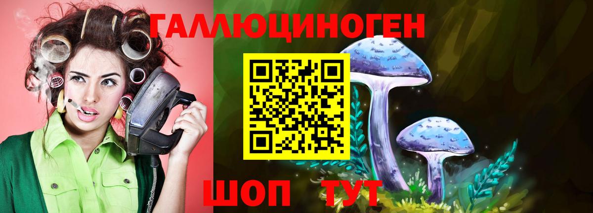 Галлюциногенные грибы Cubensis Дивногорск